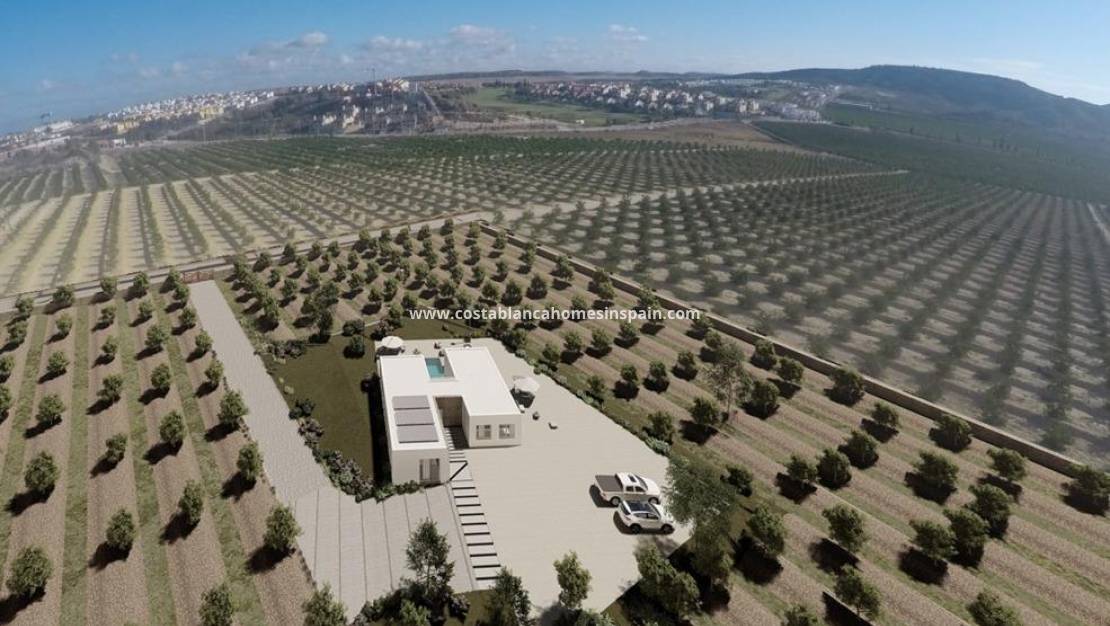 New Build -  - Algorfa - Lomas De La Juliana