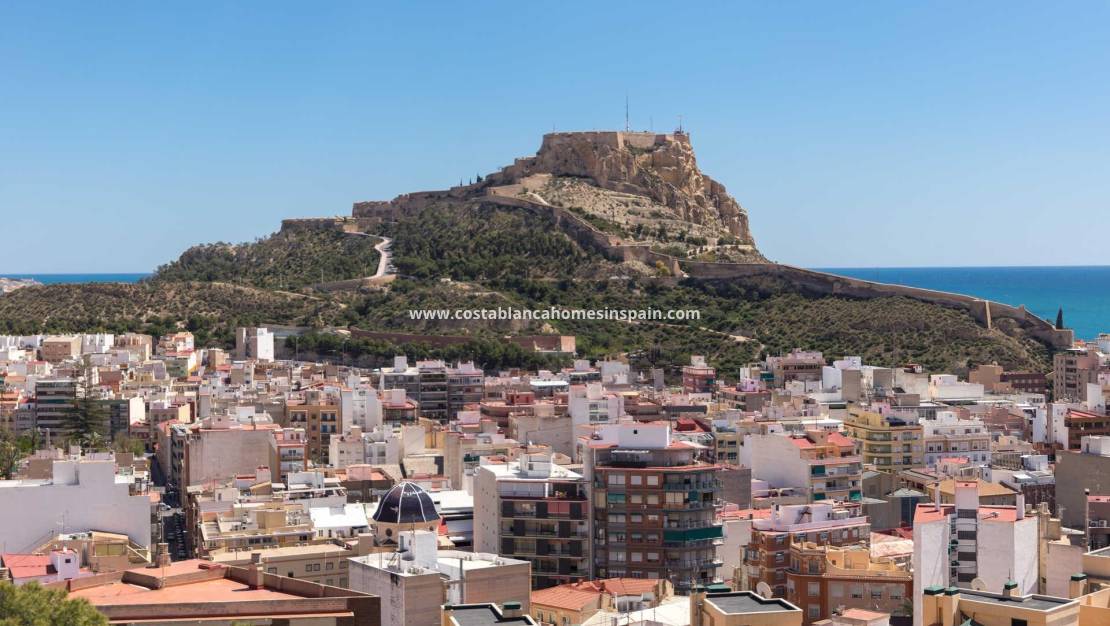 New Build - Apartment - Alicante - Centro