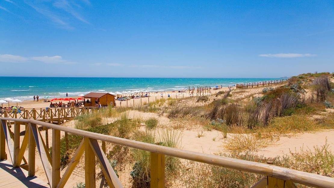 New Build - Apartment - Guardamar del Segura - Pueblo