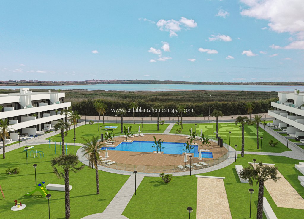 New Build - Apartment - Guardamar del Segura