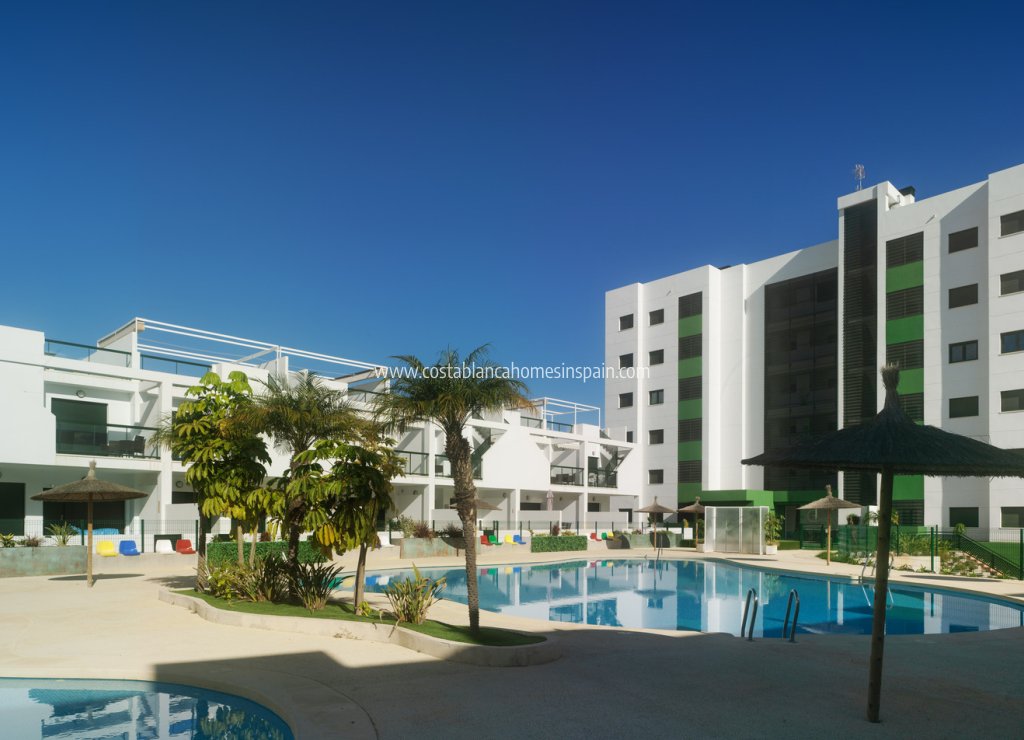 New Build - Apartment - Mil Palmeras