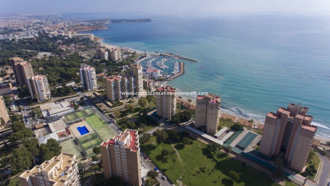 New Build - Apartment - Orihuela Costa - Campoamor