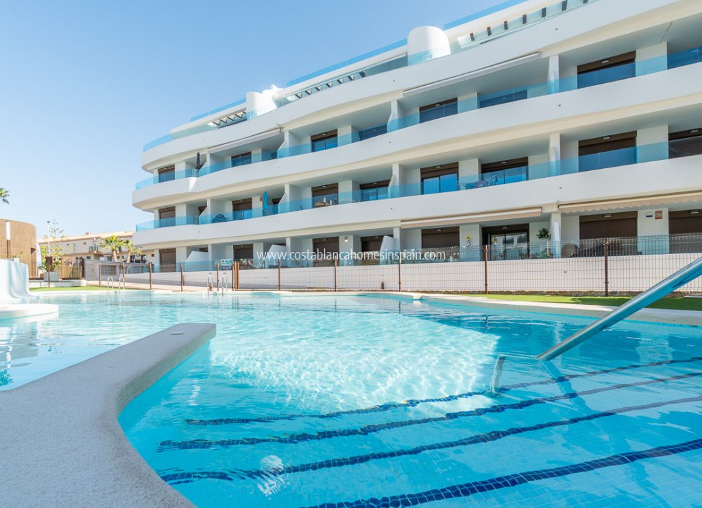 New Build - Apartment - Playa Flamenca