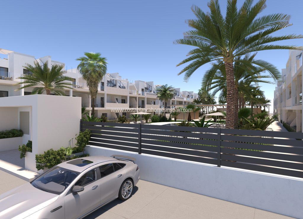 New Build - Apartment - San Cayetano