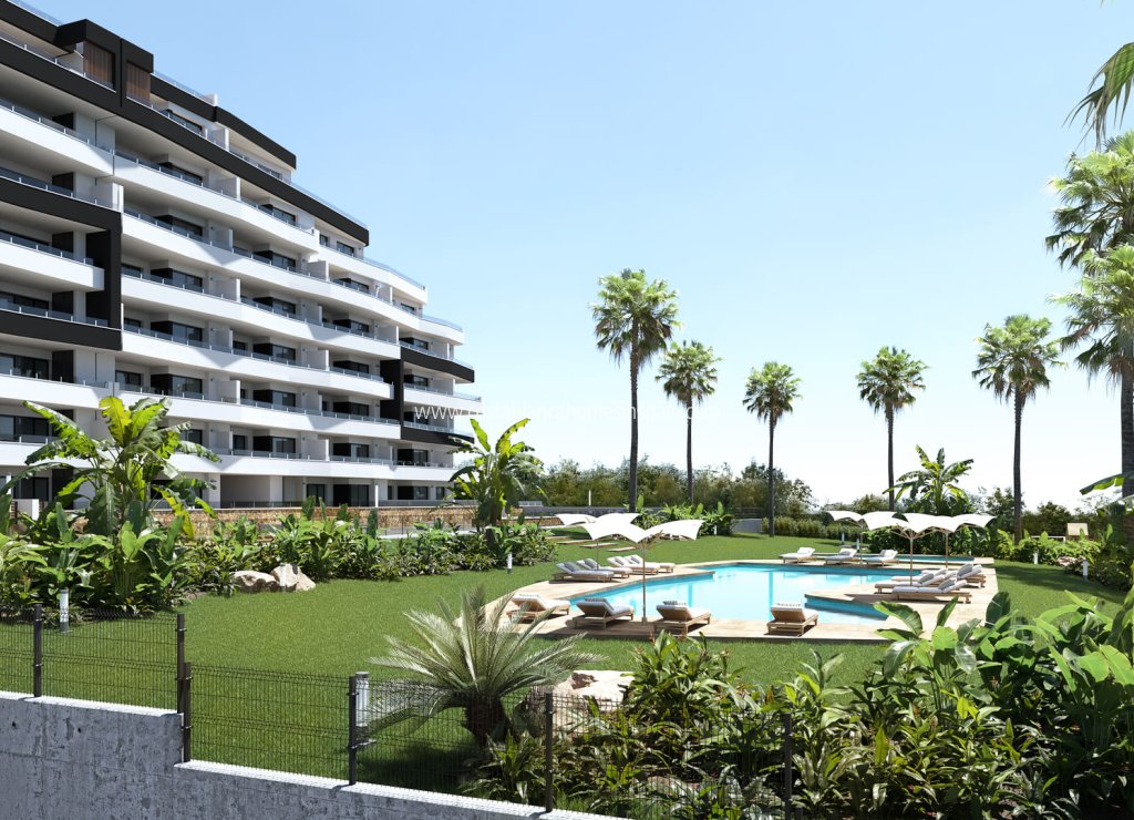 New Build - Apartment - San Miguel de Salinas