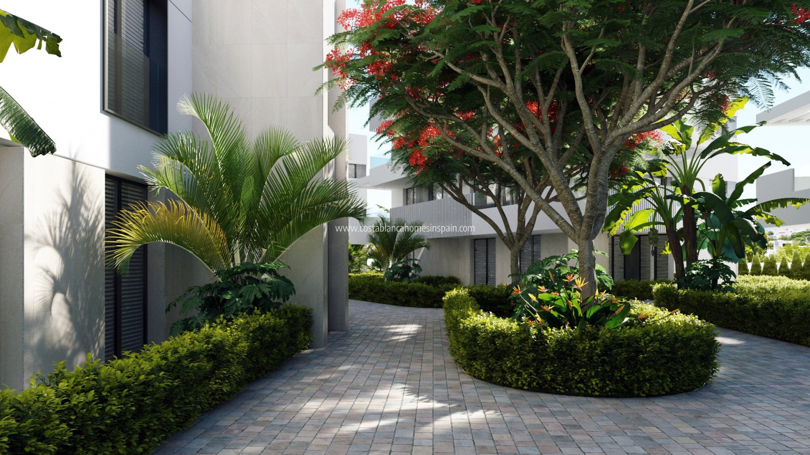 New Build - Apartment - Santa Rosalia
