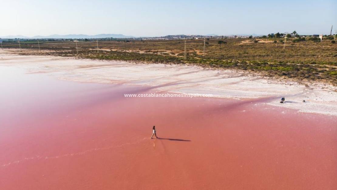 New Build - Apartment - Torrevieja - Centro