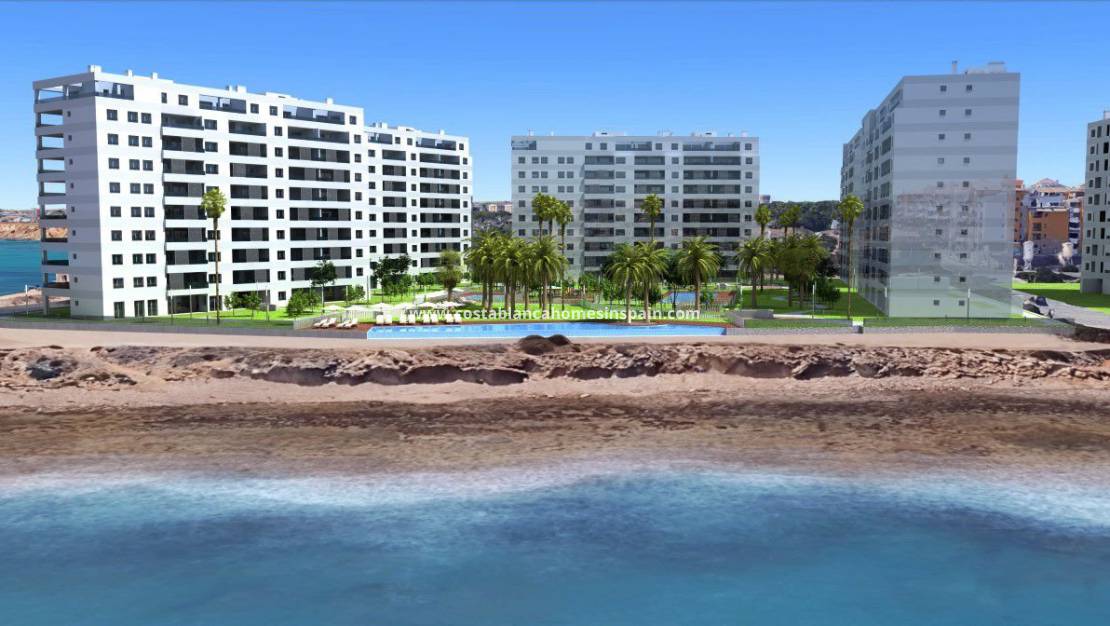 New Build - Apartment - Torrevieja - Punta Prima