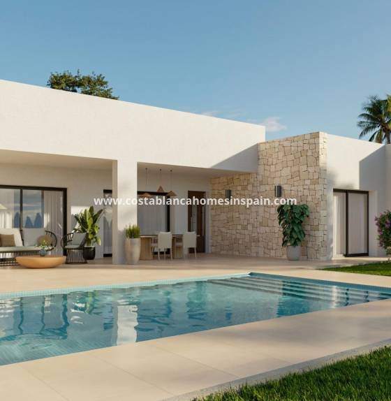  - New Build - Aspe - Poligono 19