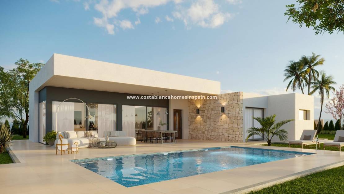 New Build -  - Aspe - Poligono 19