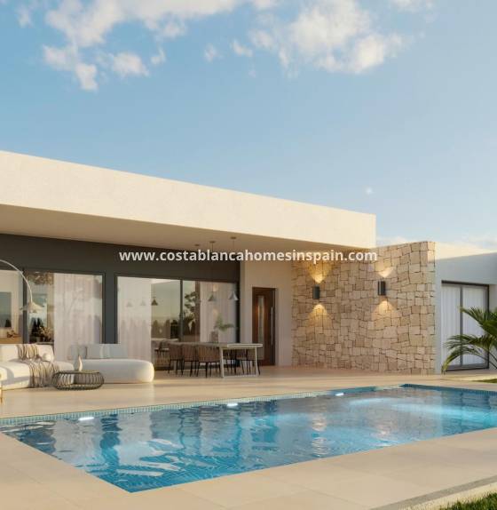  - New Build - Aspe - Poligono 19