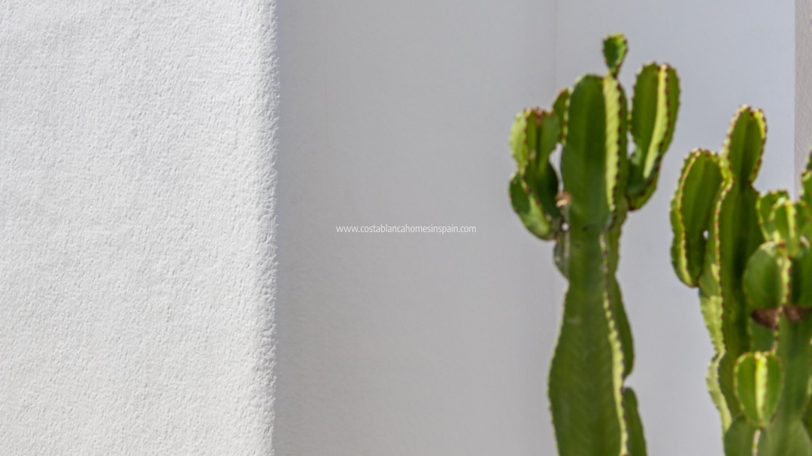 New Build - Detached Villa - Los Alcázares