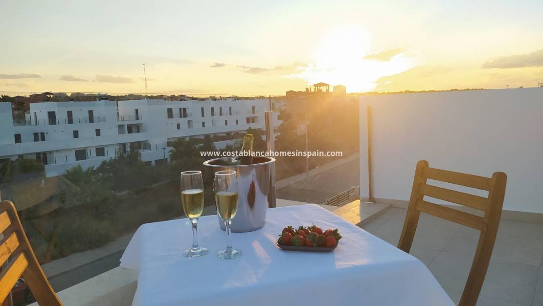 New Build - Detached Villa - Villamartin - Pau 8