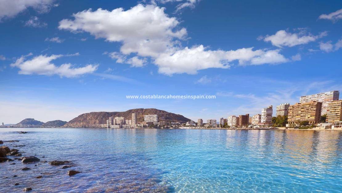 New Build -  - Els Poblets - Partida Barranquets