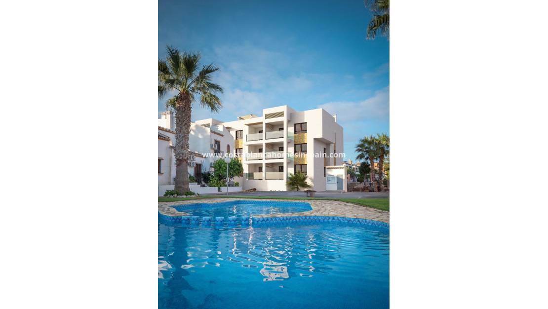 New Build - Penthouse - Orihuela Costa - PAU 8