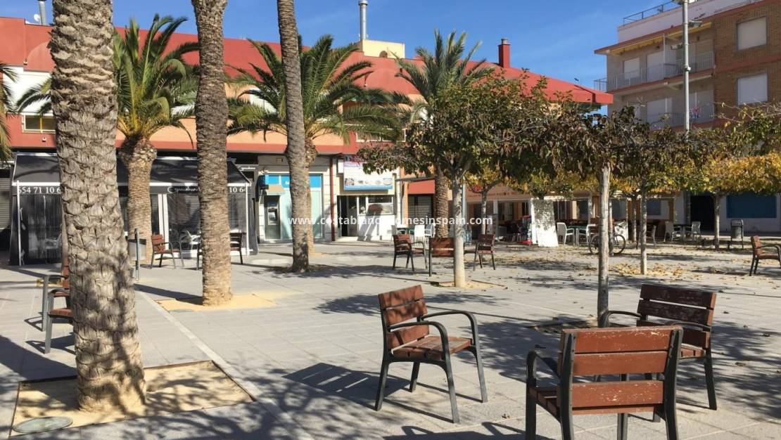 New Build -  - Pilar de la Horadada - Las Higuericas