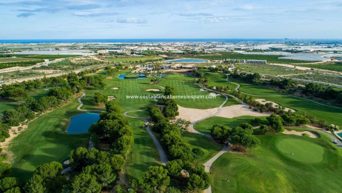 New Build -  - Pilar de la Horadada - Lo Romero Golf