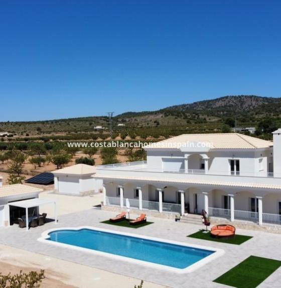  - New Build - Pinoso - Camino Del Prado