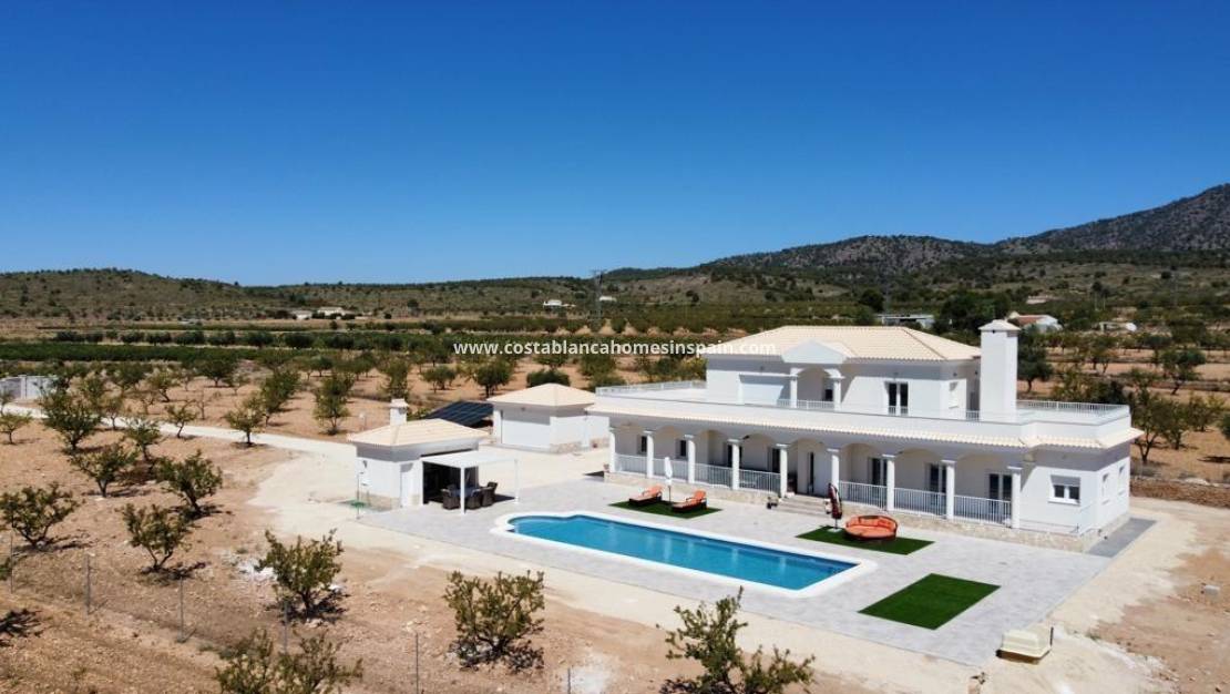 New Build -  - Pinoso - Camino Del Prado