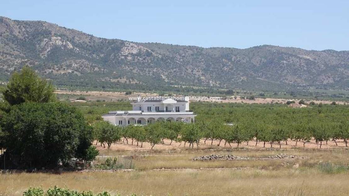 New Build -  - Pinoso - Camino Del Prado