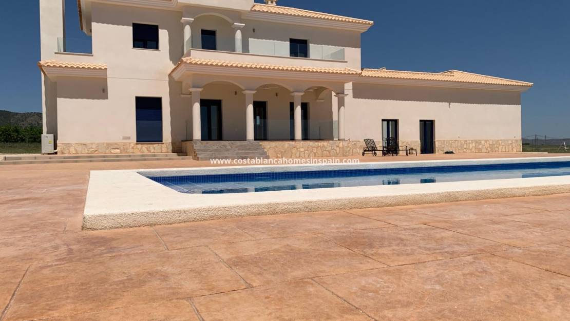 New Build -  - Pinoso - Camino Del Prado