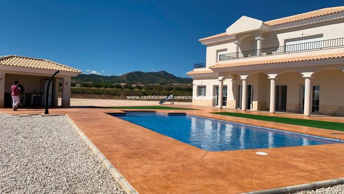 New Build -  - Pinoso - Camino Del Prado