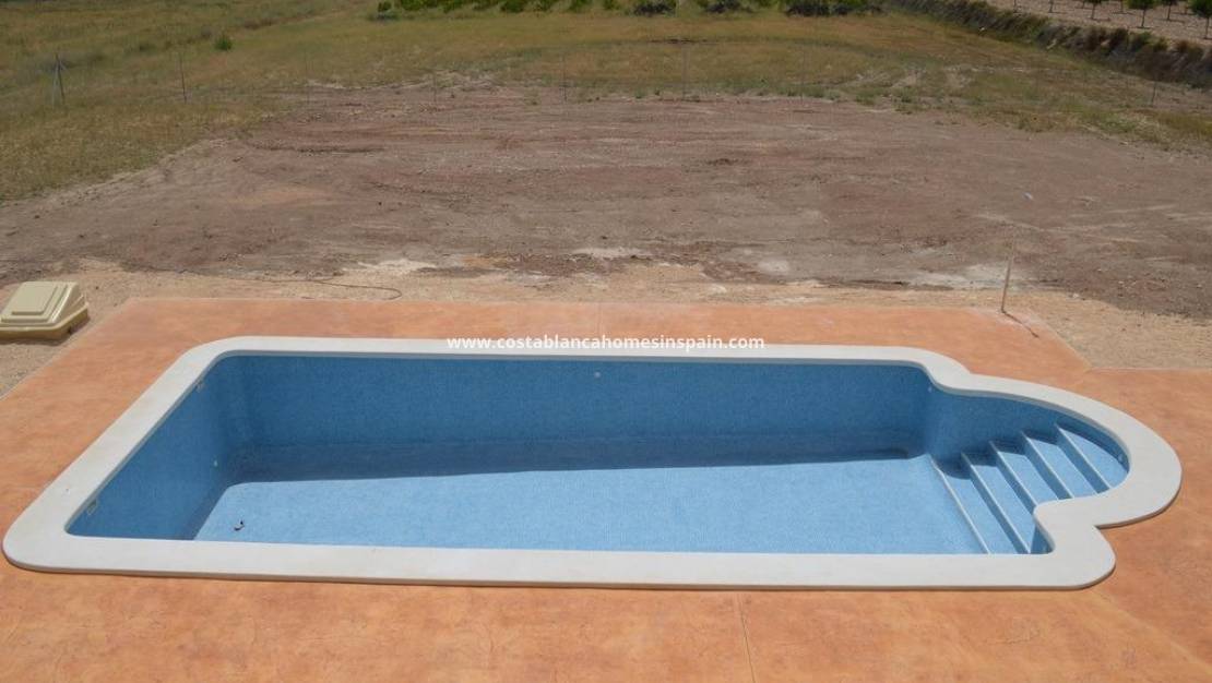 New Build -  - Pinoso - Camino Del Prado