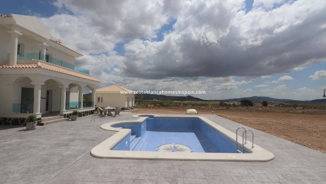 New Build -  - Pinoso - Camino Del Prado