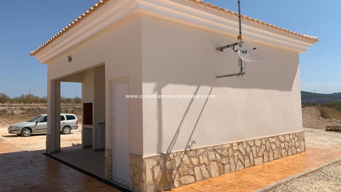 New Build -  - Pinoso - Camino Del Prado