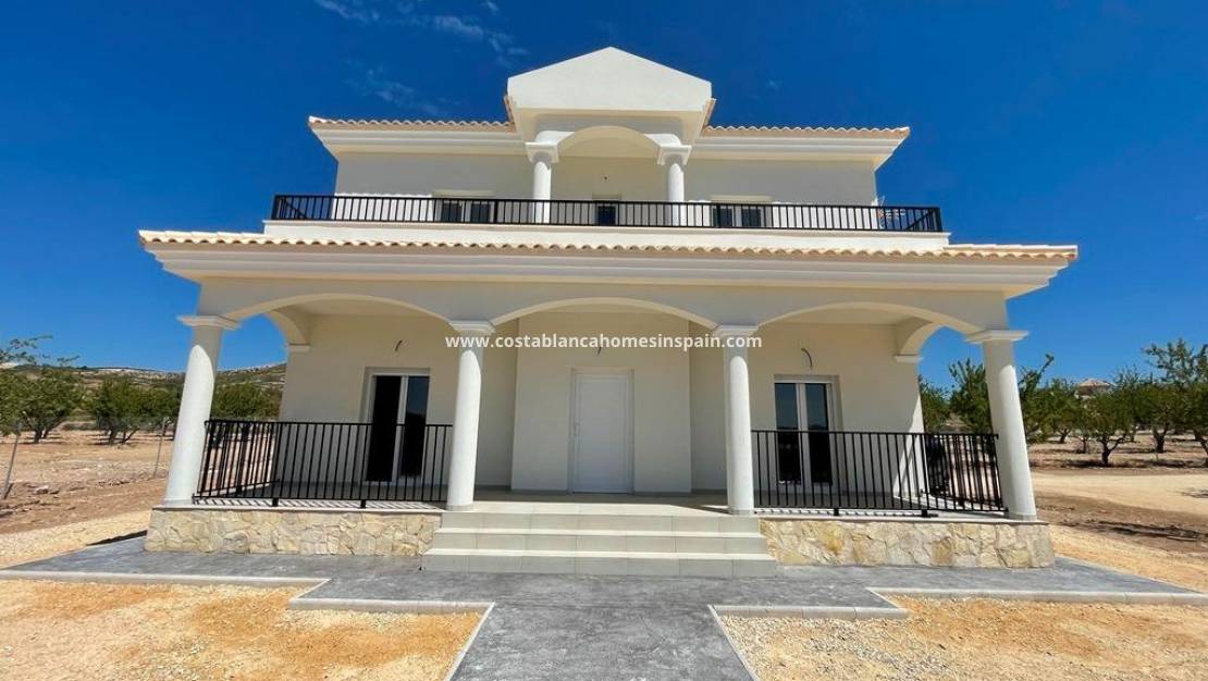 New Build -  - Pinoso - Camino Del Prado
