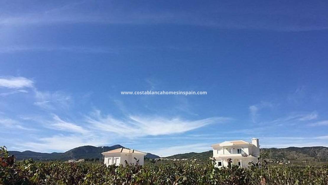 New Build -  - Pinoso - Camino Del Prado