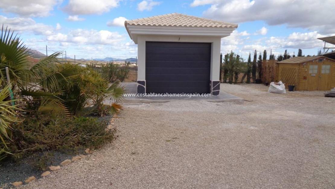 New Build -  - Pinoso - Camino Del Prado