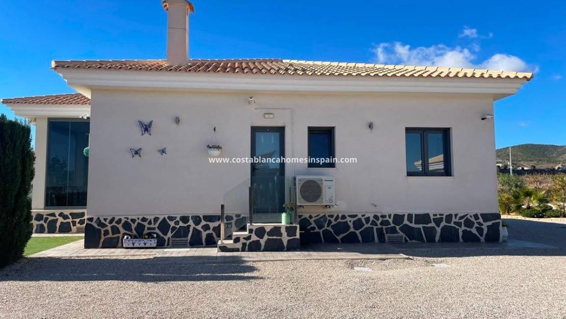 New Build -  - Pinoso - Camino Del Prado