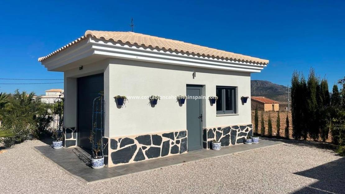 New Build -  - Pinoso - Camino Del Prado