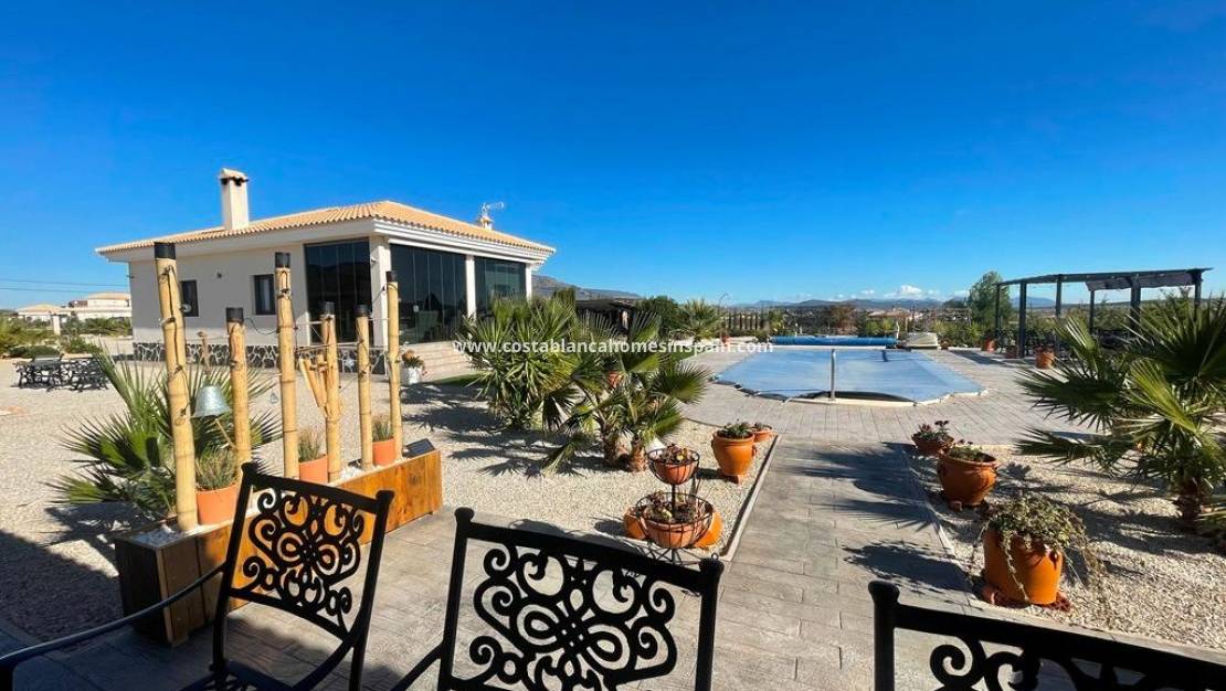 New Build -  - Pinoso - Camino Del Prado