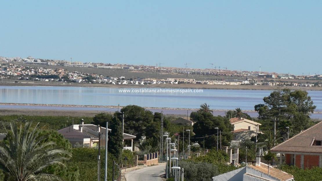 New Build - Semi - Detached Villa - Los Montesinos - La herrada