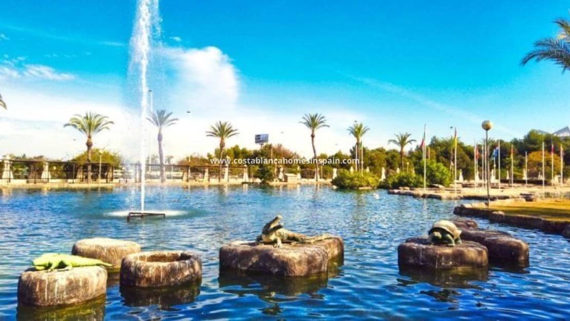 New Build -  - Torrevieja - Aguas Nuevas