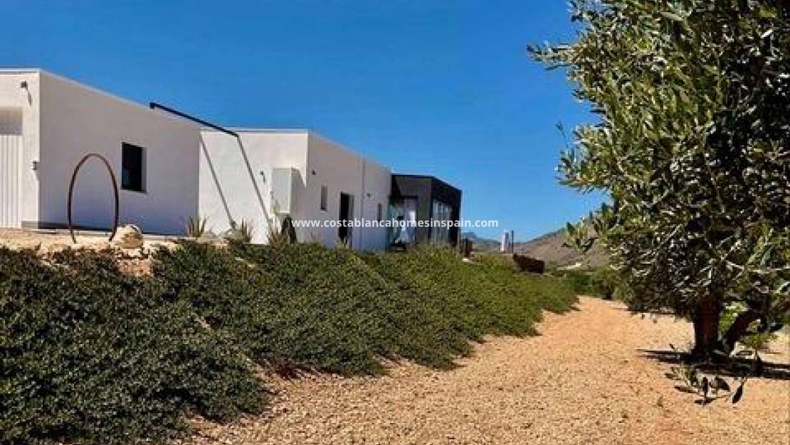 New Build - Villa - Jumilla - Torre del Rico