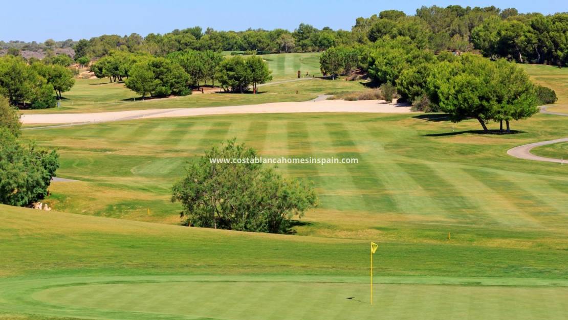 New Build - Villa - Pilar de la Horadada - Lo Romero Golf