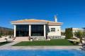 New Build - Villa - Pinoso - Camino Del Prado