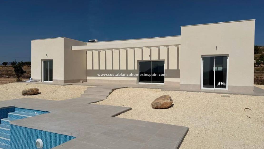 New Build - villa - Pinoso - Camino Del Prado