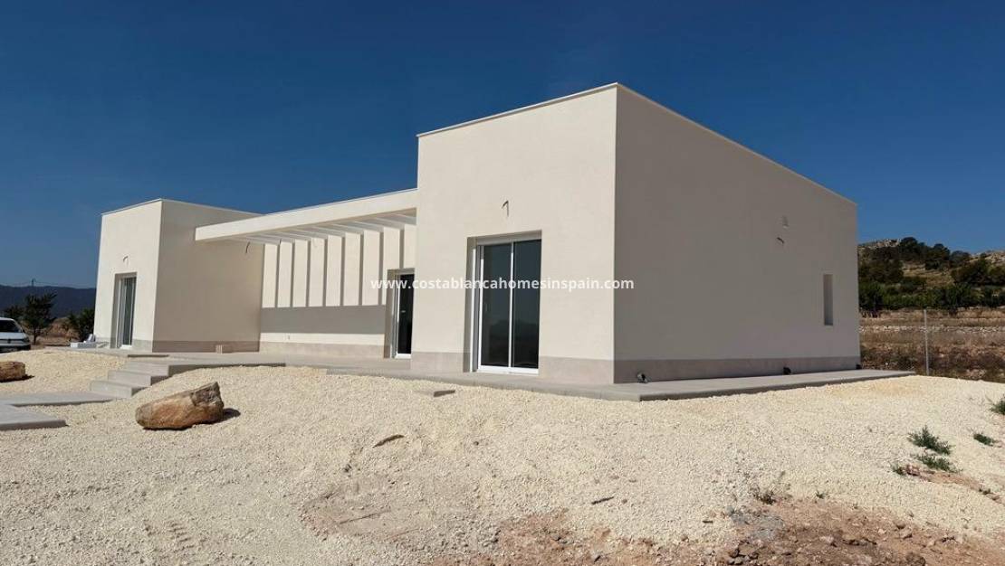 New Build - villa - Pinoso - Camino Del Prado