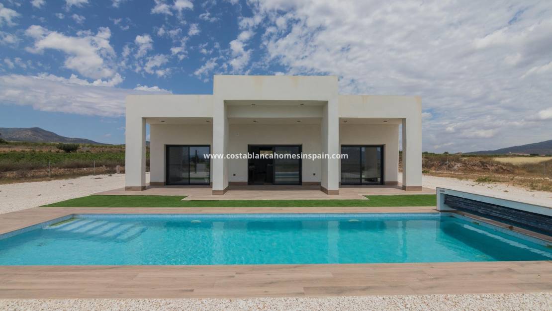 New Build - Villa - Pinoso - Campo