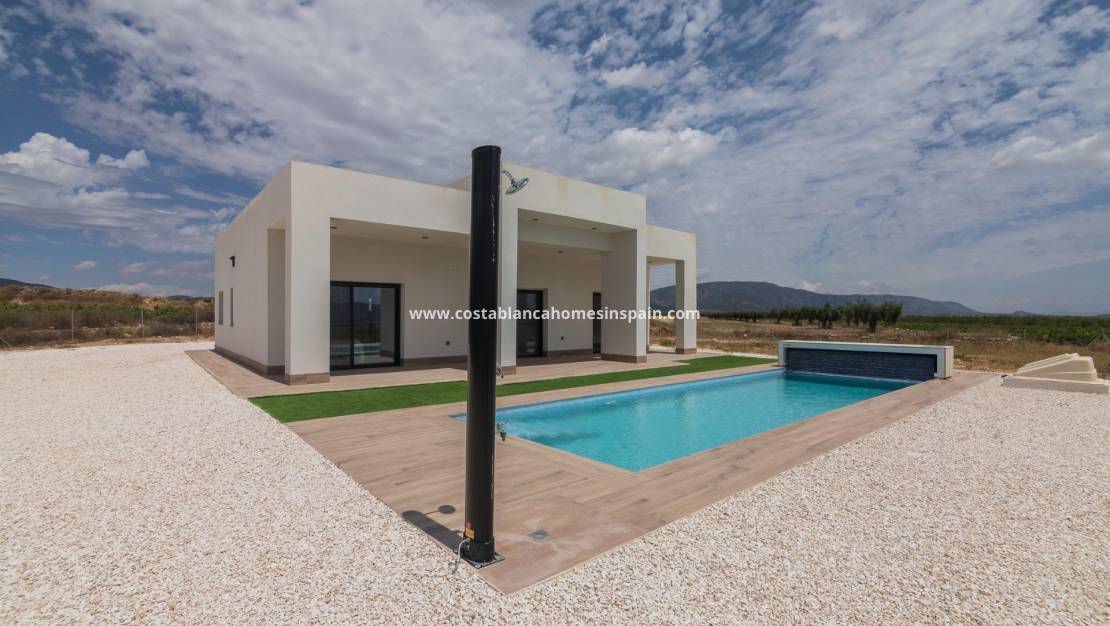 New Build - Villa - Pinoso - Campo