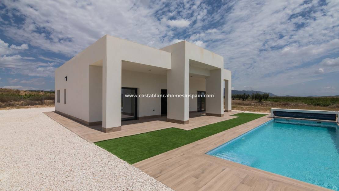 New Build - Villa - Pinoso - Campo