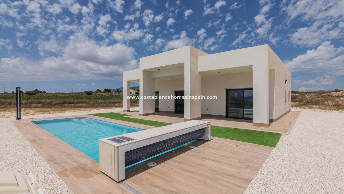 New Build - Villa - Pinoso - Campo