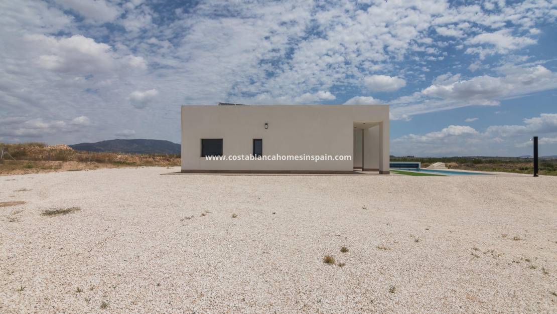 New Build - Villa - Pinoso - Campo