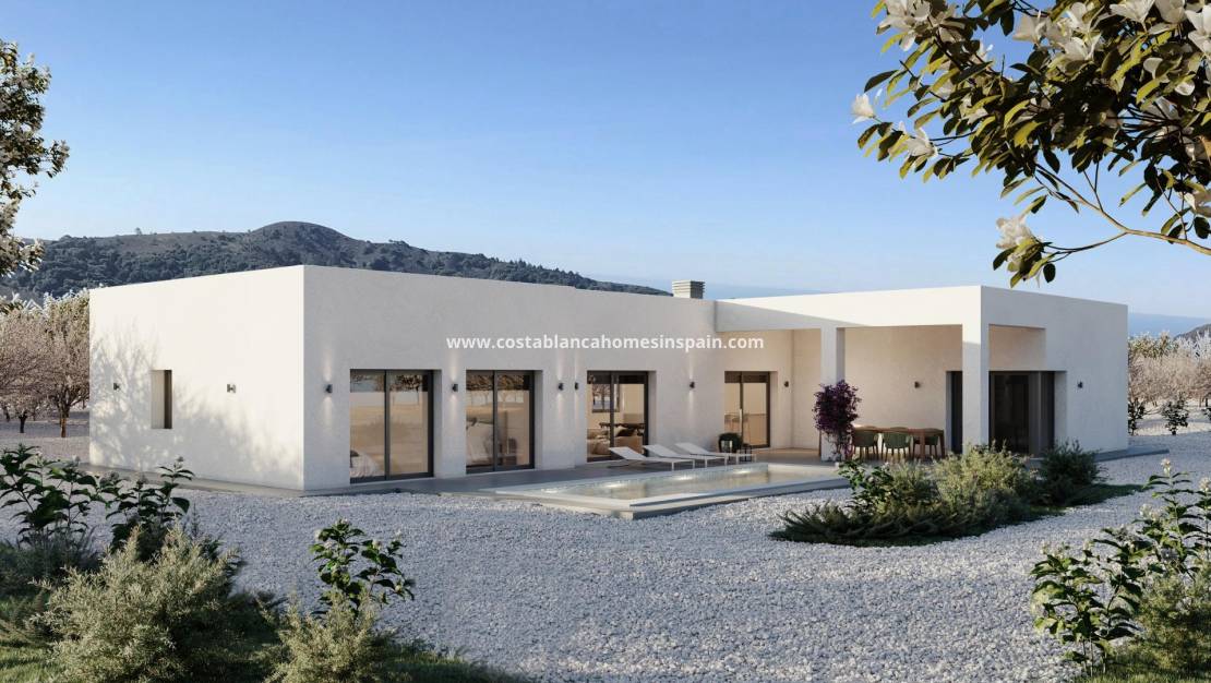 New Build - Villa - Pinoso - Campo