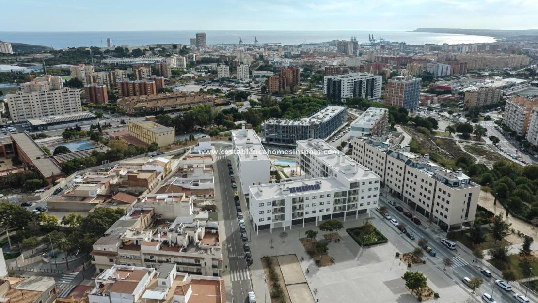 Nouvelle construction - Apartment - Alicante - San Agustín