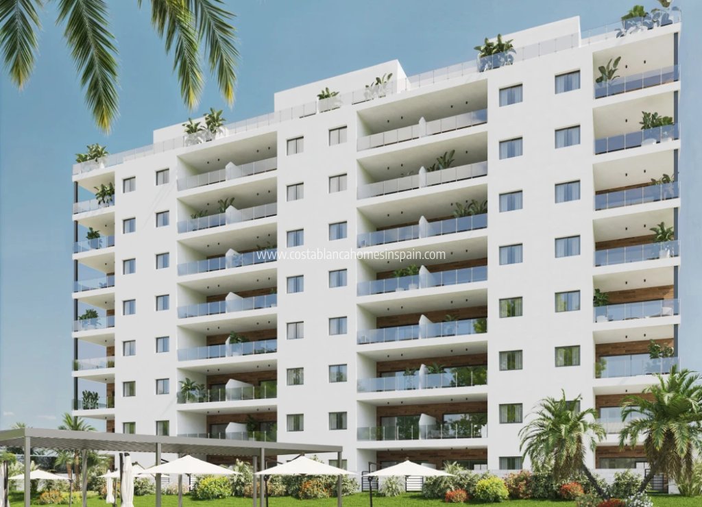 Nouvelle construction - Apartment - Benidorm